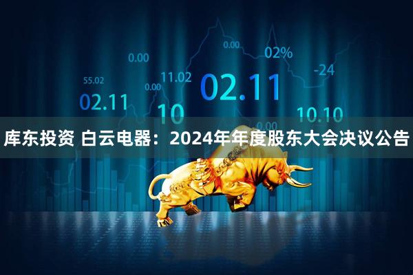 库东投资 白云电器：2024年年度股东大会决议公告