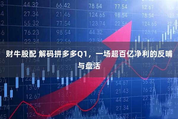 财牛股配 解码拼多多Q1，一场超百亿净利的反哺与盘活