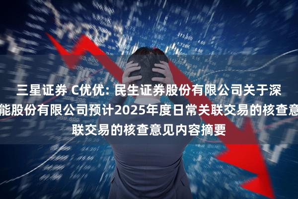 三星证券 C优优: 民生证券股份有限公司关于深圳市优优绿能股份有限公司预计2025年度日常关联交易的核查意见内容摘要