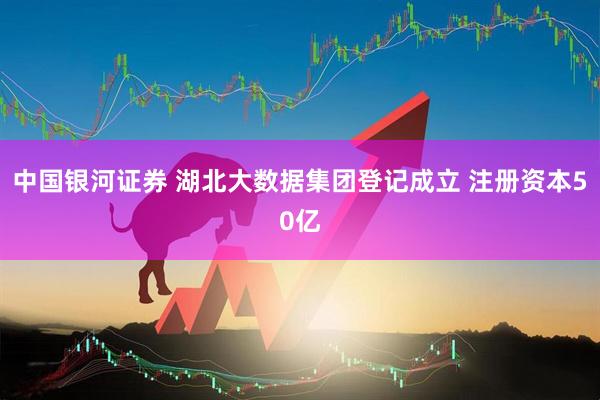 中国银河证券 湖北大数据集团登记成立 注册资本50亿