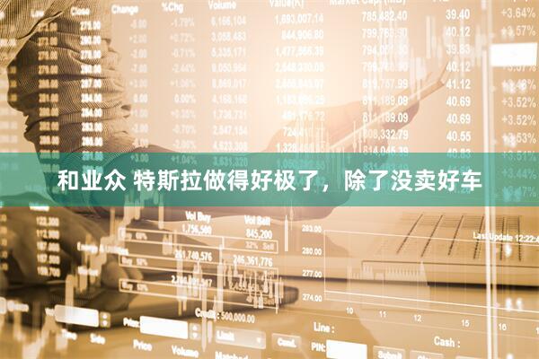 和业众 特斯拉做得好极了，除了没卖好车
