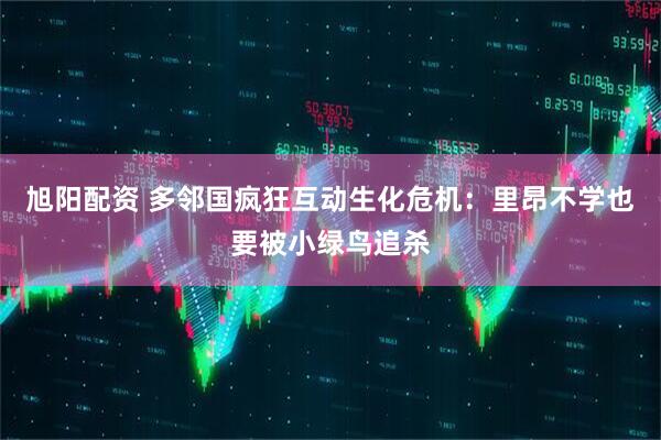 旭阳配资 多邻国疯狂互动生化危机：里昂不学也要被小绿鸟追杀