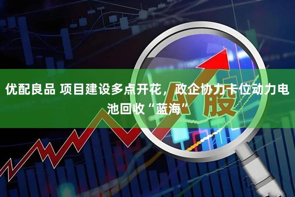 优配良品 项目建设多点开花，政企协力卡位动力电池回收“蓝海”